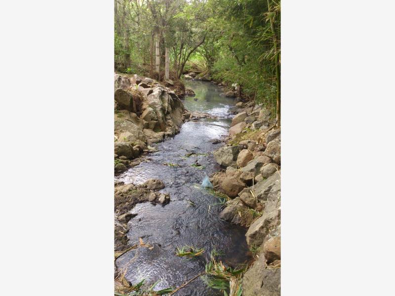 Terreno en venta en La Estanzuela, Emiliano Zapata — foto 1 de 20