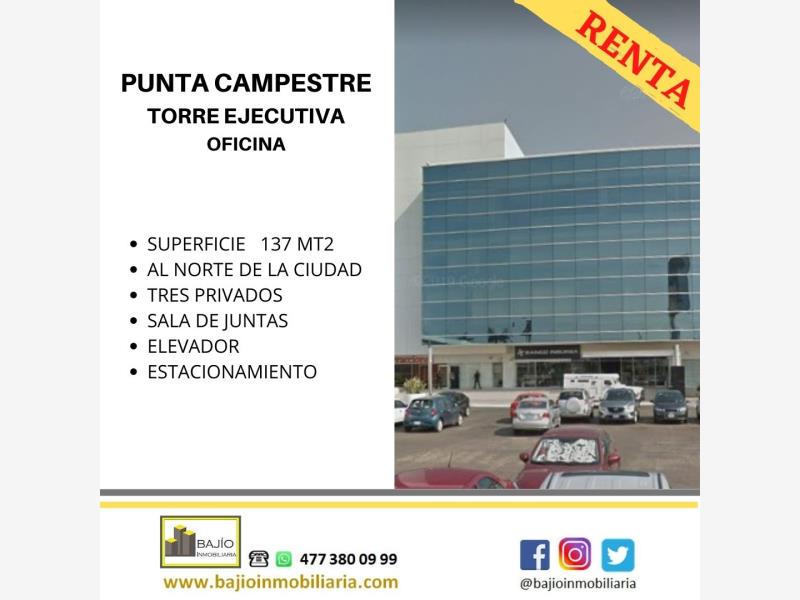 Oficina en renta en Punta Campestre, León — foto 1 de 14