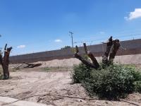 Terreno en venta en Las Trojes, Torreón — foto 2 de 4