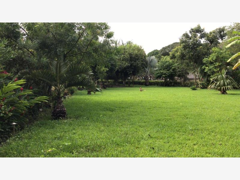 Terreno en venta en El Tejar, Medellín de Bravo — foto 1 de 8