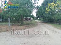 Terreno en venta en Monte Gordo, Tecolutla — foto 2 de 5