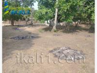 Terreno en venta en Monte Gordo, Tecolutla — foto 3 de 5