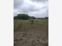 Terreno en venta en El Longoreño, Matamoros — foto 2 de 3