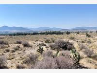 Terreno en venta en San Antonio de las Alazanas, Arteaga — foto 2 de 9