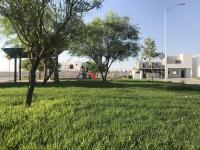 Terreno en venta en Los Viñedos, Torreón — foto 3 de 12