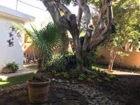 Casa en renta en Las Palmas, Cuernavaca — foto 3 de 26