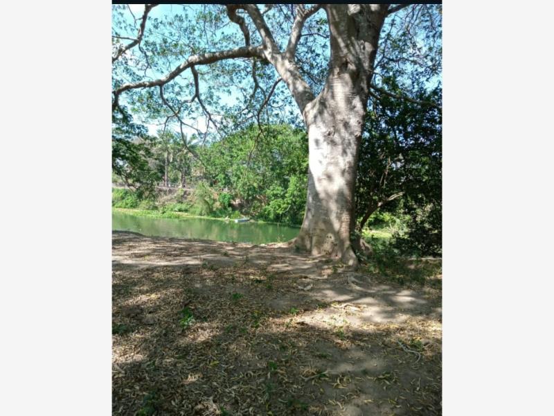 Terreno en venta en Primero de La Palma, Medellín de Bravo — foto 1 de 3