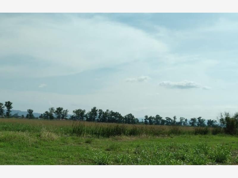 Terreno en venta en Tala Centro, Tala