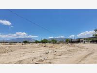 Terreno en venta en La Joya, Arteaga — foto 3 de 14