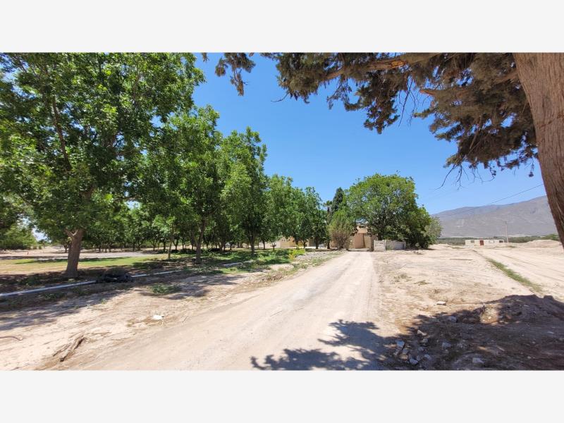 Terreno en venta en La Joya, Arteaga — foto 1 de 14