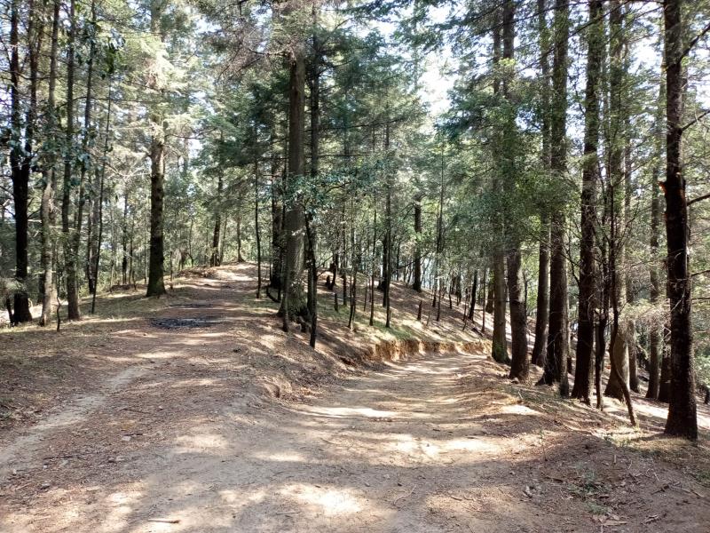 Terreno en venta en Arenal, Huixquilucan — foto 1 de 6