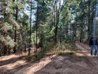 Terreno en venta en Arenal, Huixquilucan — foto 3 de 6