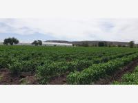 Terreno en venta en San Clemente, Pedro Escobedo — foto 2 de 8