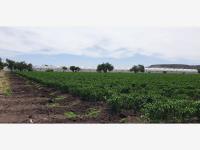 Terreno en venta en San Clemente, Pedro Escobedo — foto 3 de 8