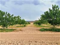 Terreno en venta en Santa Cecilia, Matamoros — foto 3 de 5