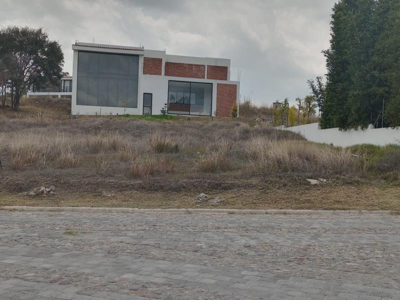 Terreno en venta en Campestre Haras, Amozoc — foto 1 de 4