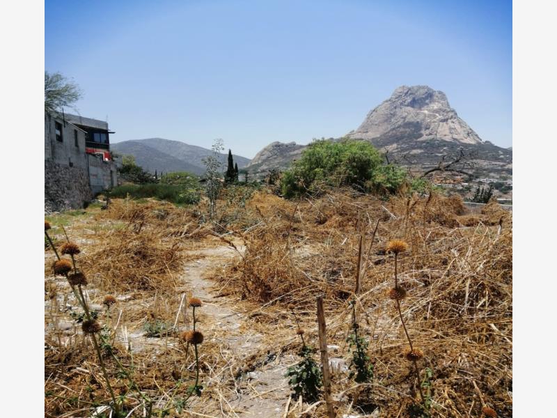 Terreno en venta en Bernal, Ezequiel Montes — foto 1 de 6