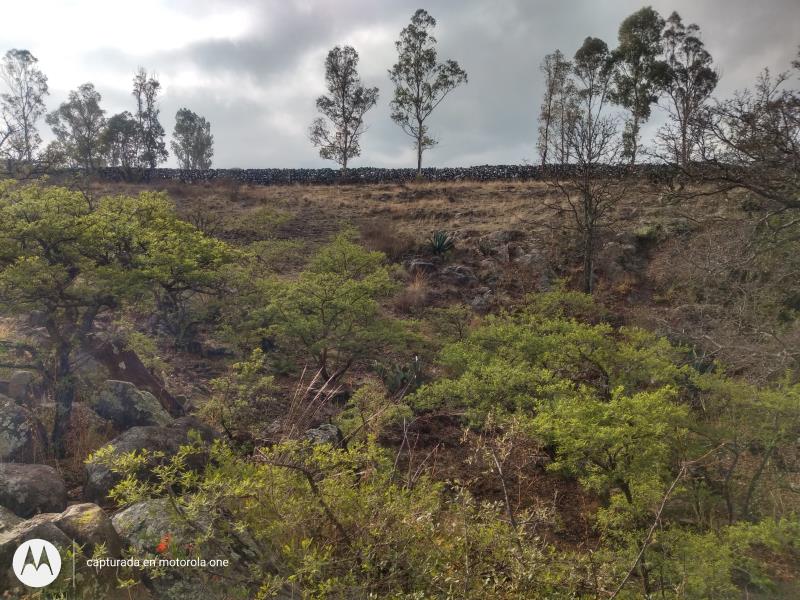 Terreno en venta en Aculco de Espinoza, Aculco — foto 1 de 26