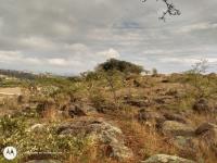 Terreno en venta en Aculco de Espinoza, Aculco — foto 2 de 26
