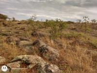 Terreno en venta en Aculco de Espinoza, Aculco — foto 3 de 26