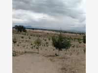 Terreno en venta en San José de Chiapa, San José Chiapa — foto 2 de 7