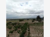 Terreno en venta en San José de Chiapa, San José Chiapa — foto 3 de 7