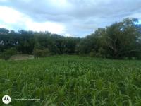 Terreno en venta en Aculco de Espinoza, Aculco — foto 2 de 13