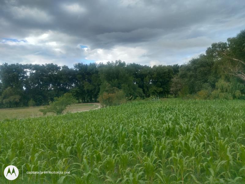 Terreno en venta en Aculco de Espinoza, Aculco — foto 1 de 13