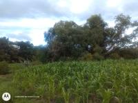 Terreno en venta en Aculco de Espinoza, Aculco — foto 3 de 13