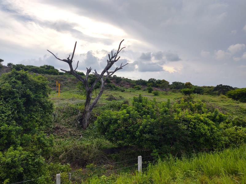 Terreno en venta en La Antigua Veracruz, La Antigua — foto 1 de 6