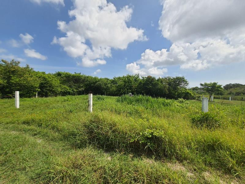 Terreno en venta en Kilometro Cien, Tampico Alto — foto 1 de 6