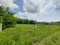 Terreno en venta en Kilometro Cien, Tampico Alto — foto 2 de 6
