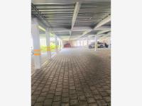 Departamento en venta en La Pradera, Cuernavaca — foto 3 de 19