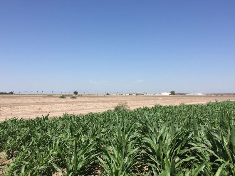 Terreno en venta en Escuadrón Doscientos Uno, Matamoros — foto 1 de 4