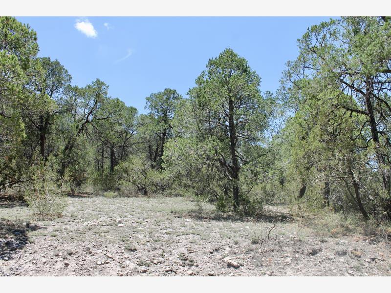 Terreno en venta en Los Llanos, Arteaga — foto 1 de 16