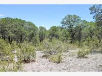 Terreno en venta en Los Llanos, Arteaga — foto 2 de 16