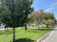 Terreno en venta en Las Villas, Torreón — foto 3 de 8