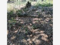 Terreno en venta en Camino Real, Colima, Colima