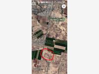 Terreno en venta en Ejido San Miguel, Matamoros — foto 3 de 7