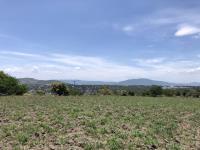 Terreno en venta en Tequesquitengo, Jojutla — foto 2 de 12