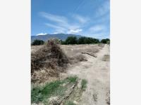 Terreno en venta en San Lorenzo (Casa Madero), Parras — foto 3 de 5