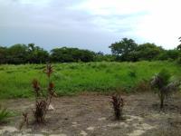 Finca-Rancho en venta en Baca, Baca — foto 3 de 10