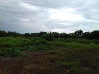 Finca-Rancho en venta en Baca, Baca — foto 2 de 10