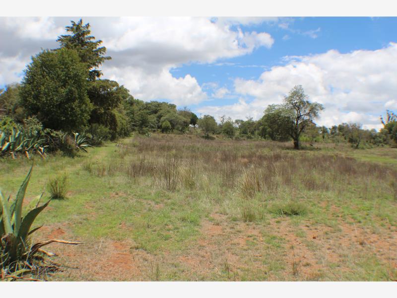 Terreno en venta en San Pablo Ojo de Agua, Huasca de Ocampo, Hidalgo