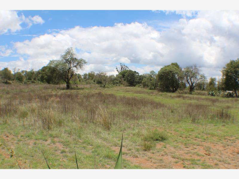 Terreno en venta en San Pablo Ojo de Agua, Huasca de Ocampo, Hidalgo