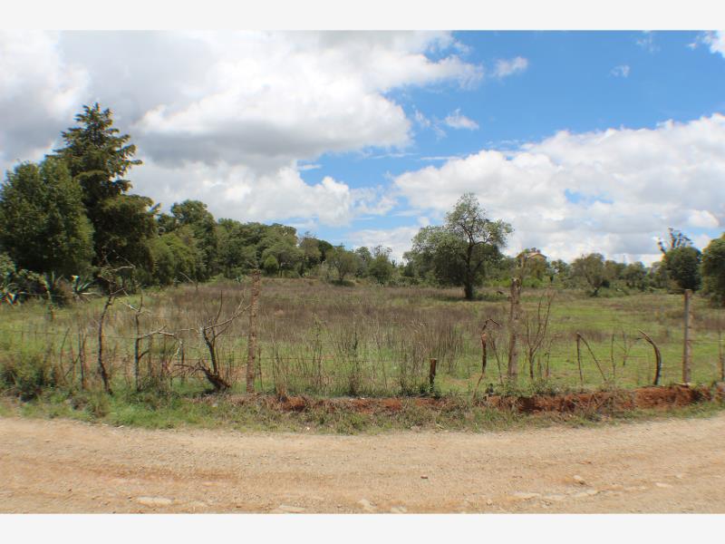 Terreno en venta en San Pablo Ojo de Agua, Huasca de Ocampo, Hidalgo