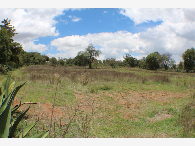 Terreno en venta en San Pablo Ojo de Agua, Huasca de Ocampo, Hidalgo