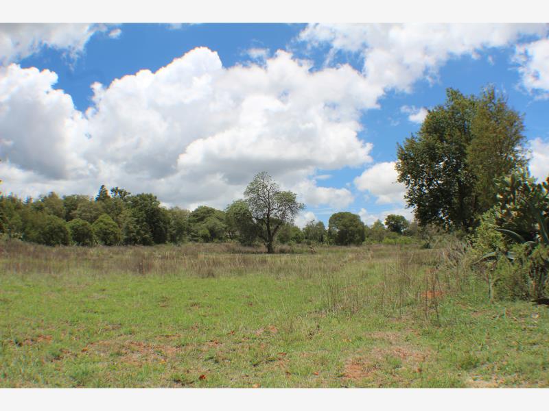 Terreno en venta en San Pablo Ojo de Agua, Huasca de Ocampo, Hidalgo