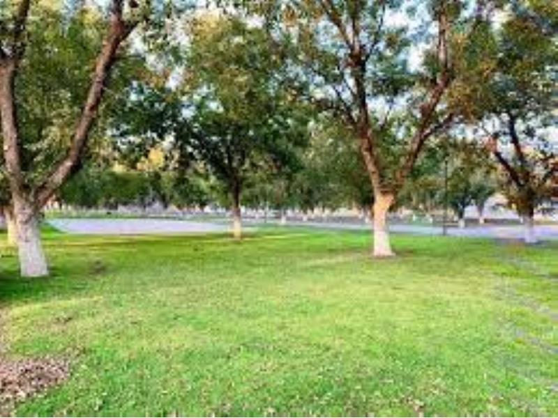 Terreno en Venta en Las Trojes, Torreón, Coahuila de Zaragoza