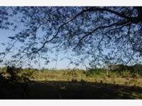 Terreno en venta en El Aguacatal, Carmen — foto 3 de 8